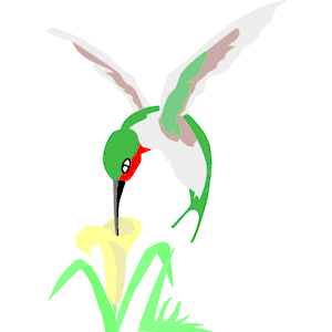 Hummingbird Drawings Png Image Clipart