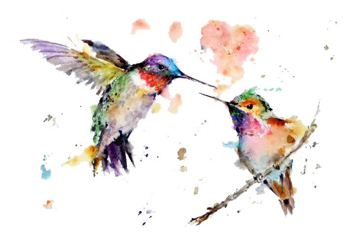Watercolor Art Painting Drawing Hummingbird Free Transparent Image HQ Clipart