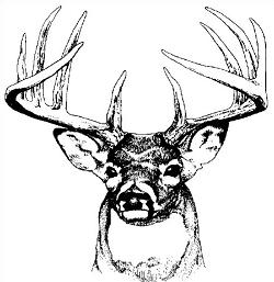 Free Hunting Hd Photo Clipart
