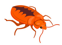 Free Insect Pictures Graphics Illustrations Hd Image Clipart