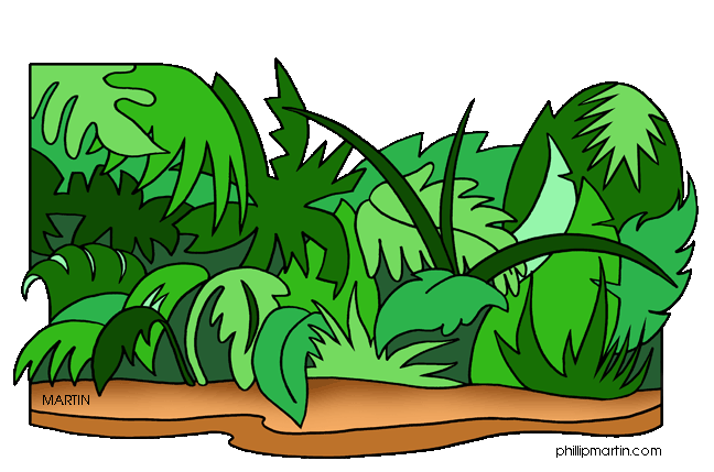 Jungle Downloads Images Image Png Clipart