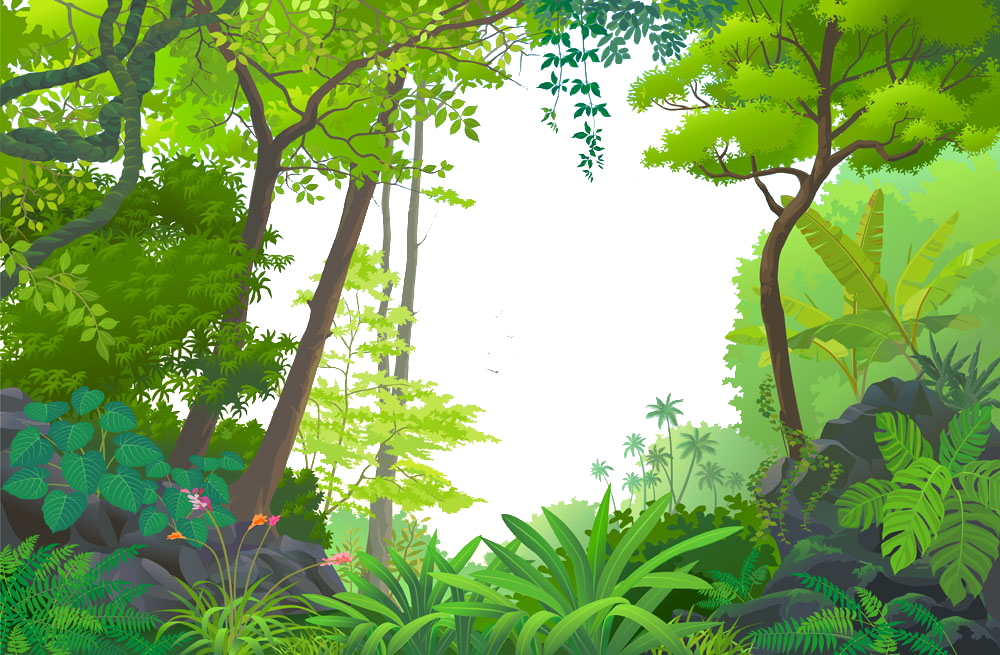 Tropical Euclidean Vector Jungle Rainforest Cartoon Forest Clipart