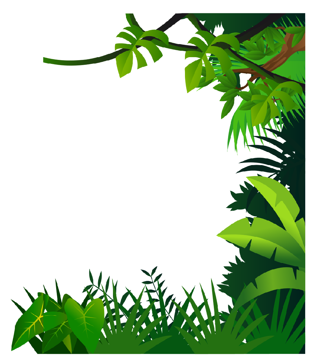 Material Border Drawing Jungle Free HD Image Clipart