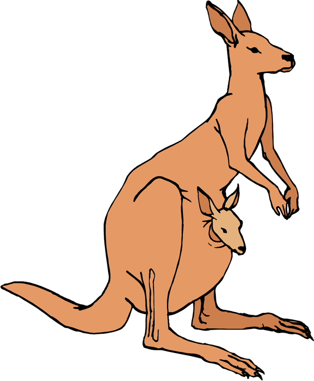 Kangaroo Images Png Image Clipart