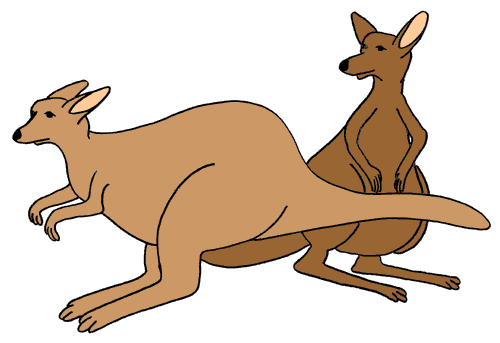 Kangaroo Image Free Download Png Clipart