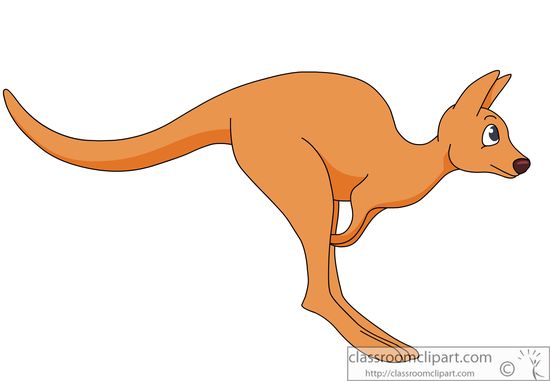 Free Kangaroo Pictures Graphics Illustrations Image Png Clipart