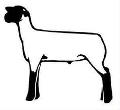 Club Show Lambs 6 Inch Sheep Bytes Clipart