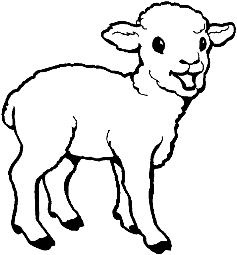 Lamb Image Png Clipart
