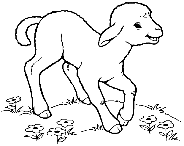 Lamb Kid Transparent Image Clipart