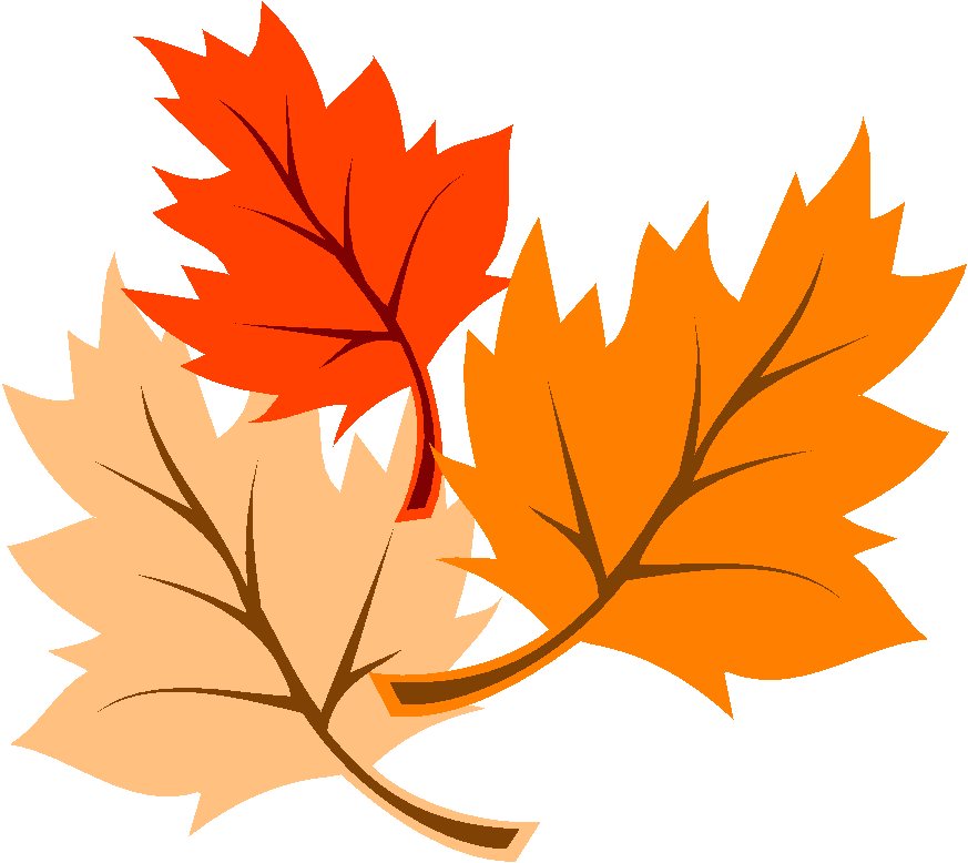 Leaf Leaves Image Png Clipart