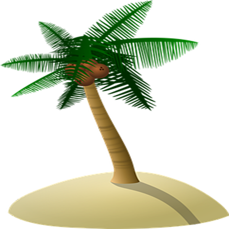 Arecaceae Coconut Tree Island Free Download PNG HQ Clipart
