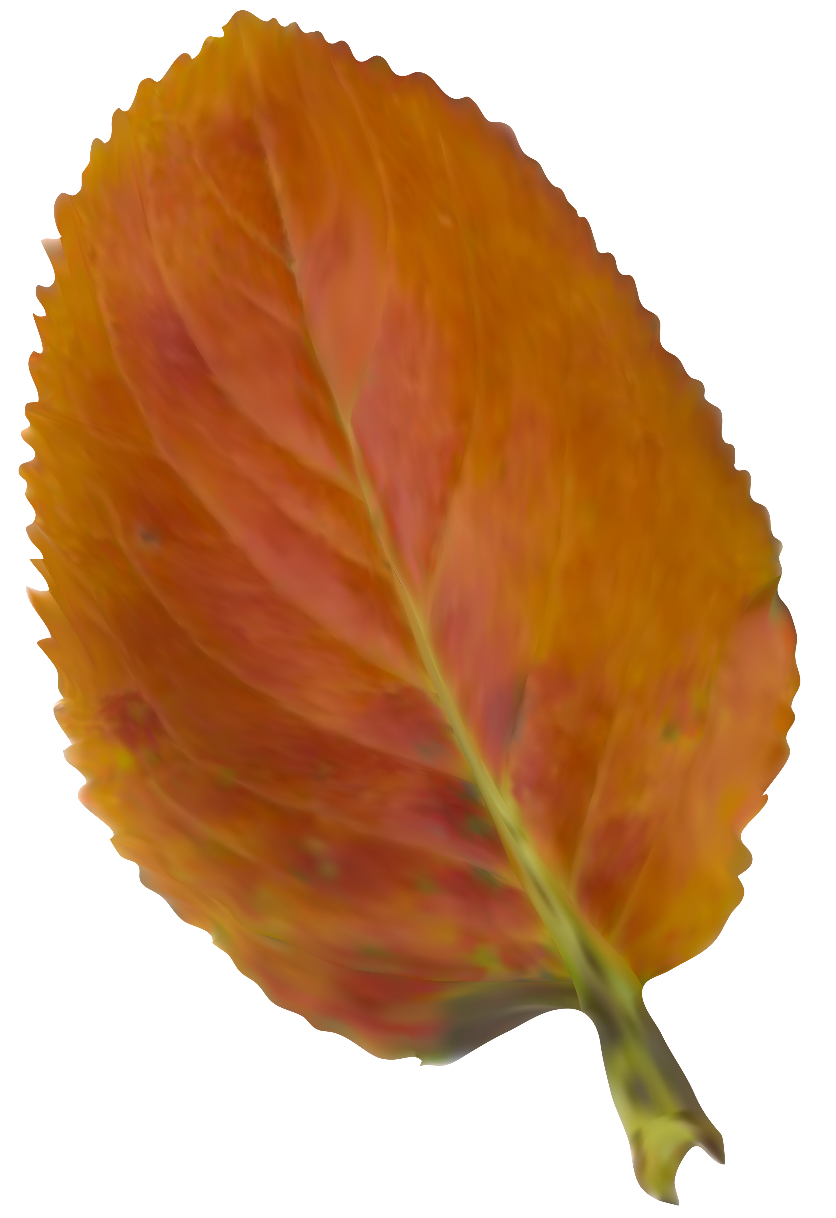 Beautiful Picture Leaf Color Nissan Autumn 2018 Clipart
