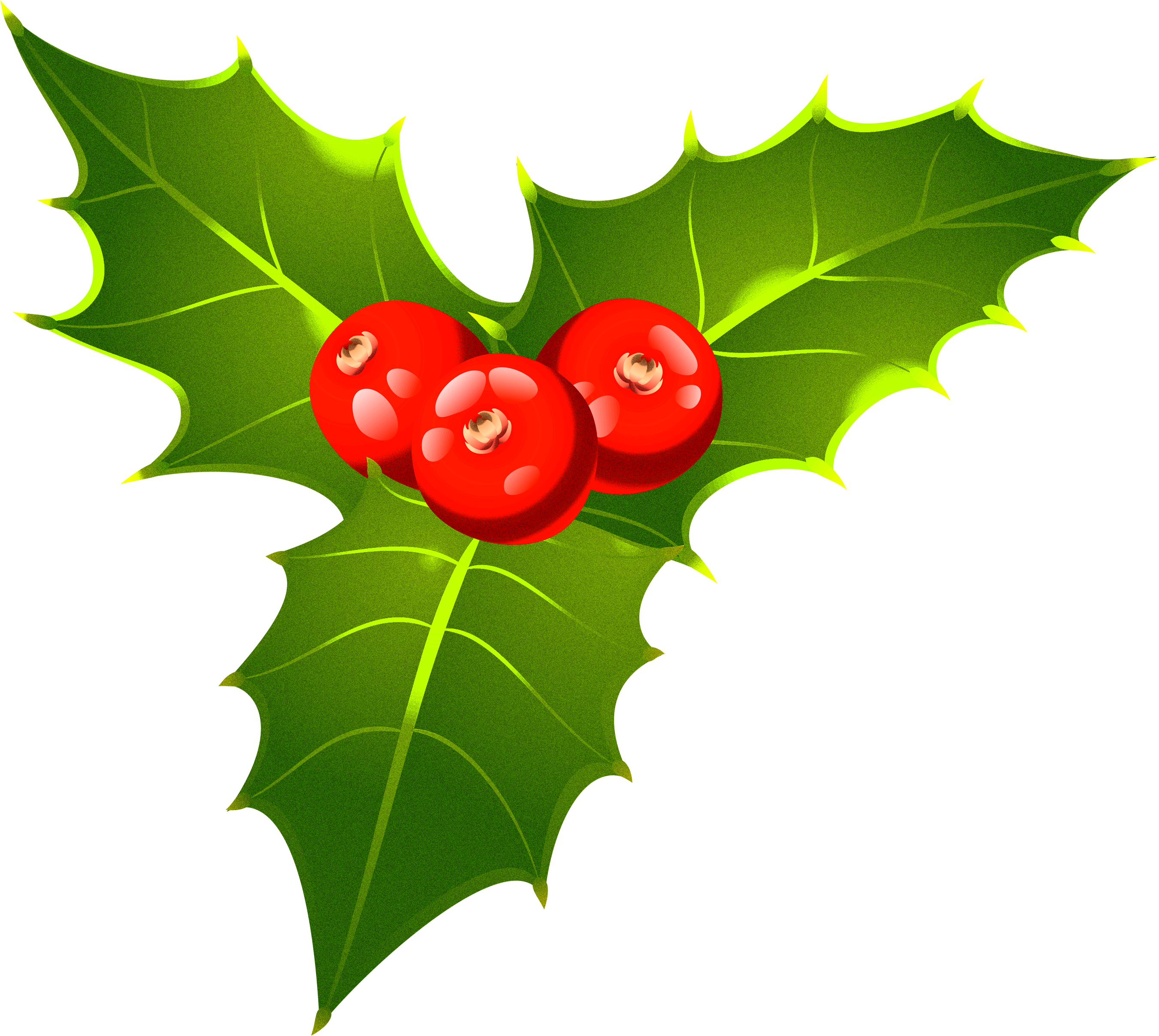 Openclipart Mistletoe Christmas Day Free Clipart HQ Clipart