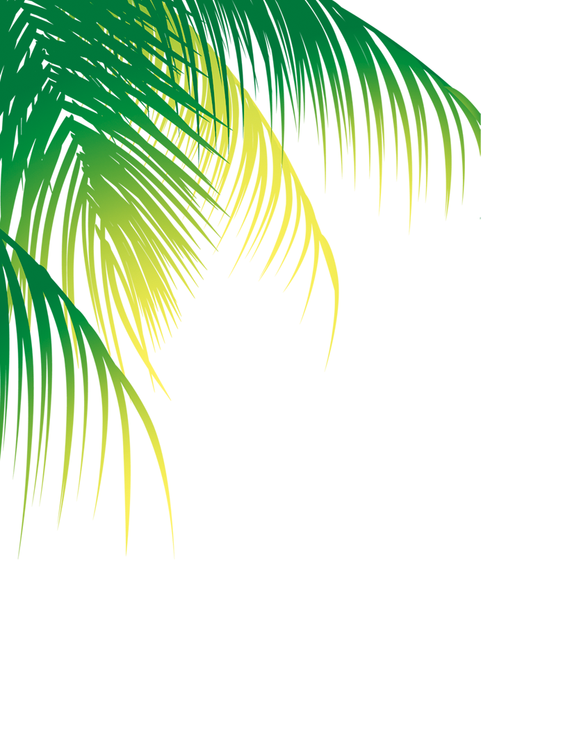 Water Arecaceae Coconut Material Tree Free Transparent Image HD Clipart