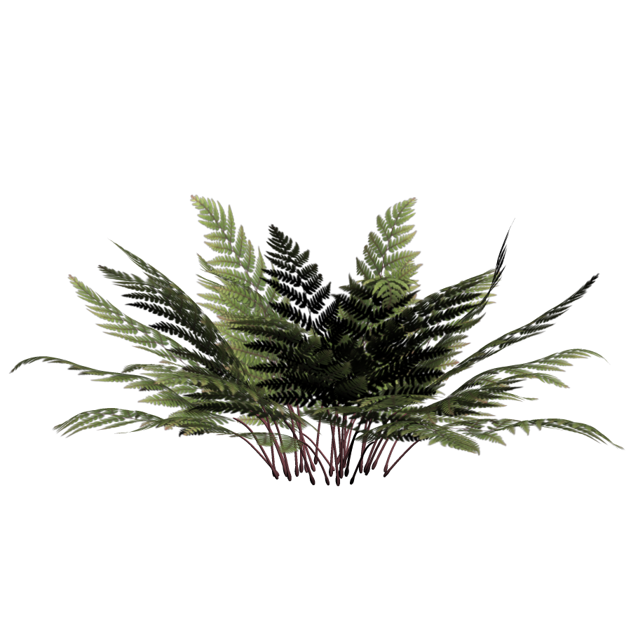 Tree Winter PNG File HD Clipart