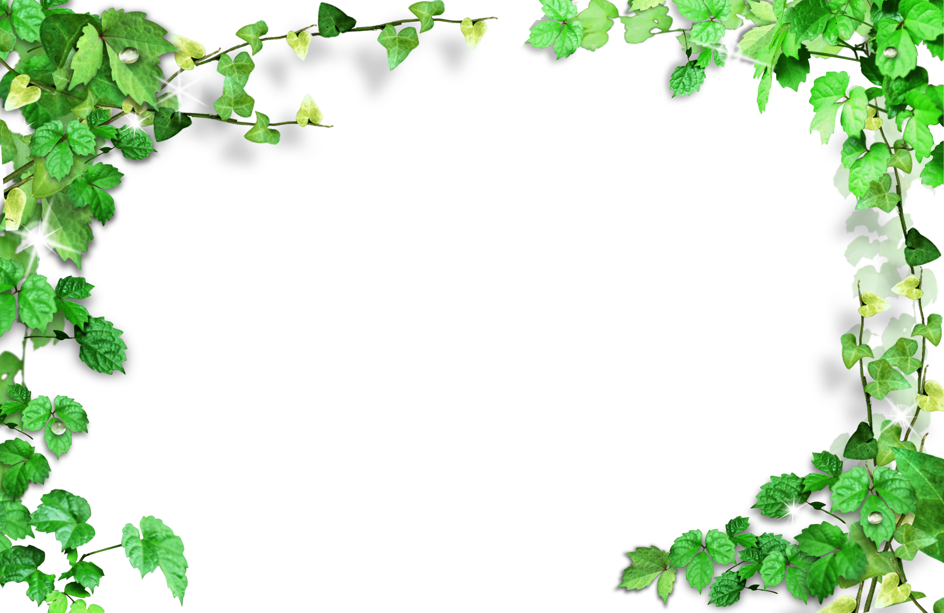 Leaves Frame,Plant Green Frame Free Download PNG HQ Clipart