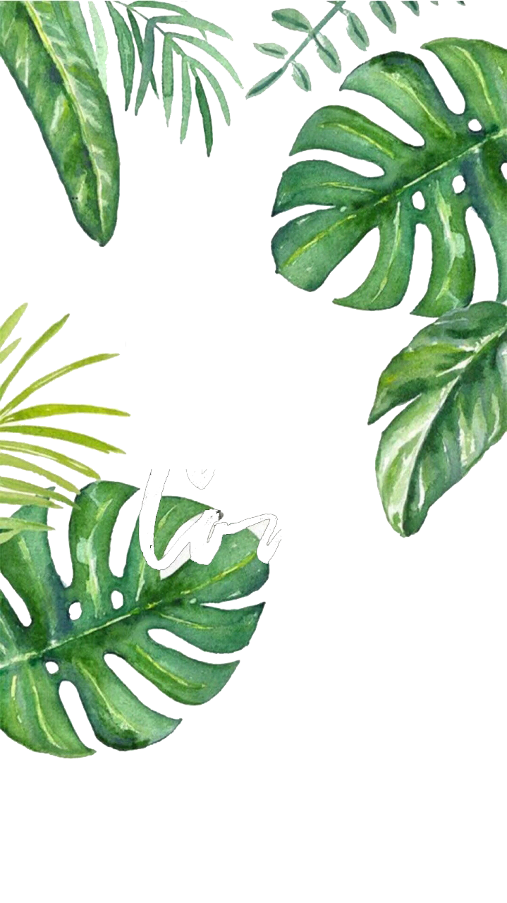 Turtle Leaf Painted Wallpaper Hand Bamboo Banana Clipart