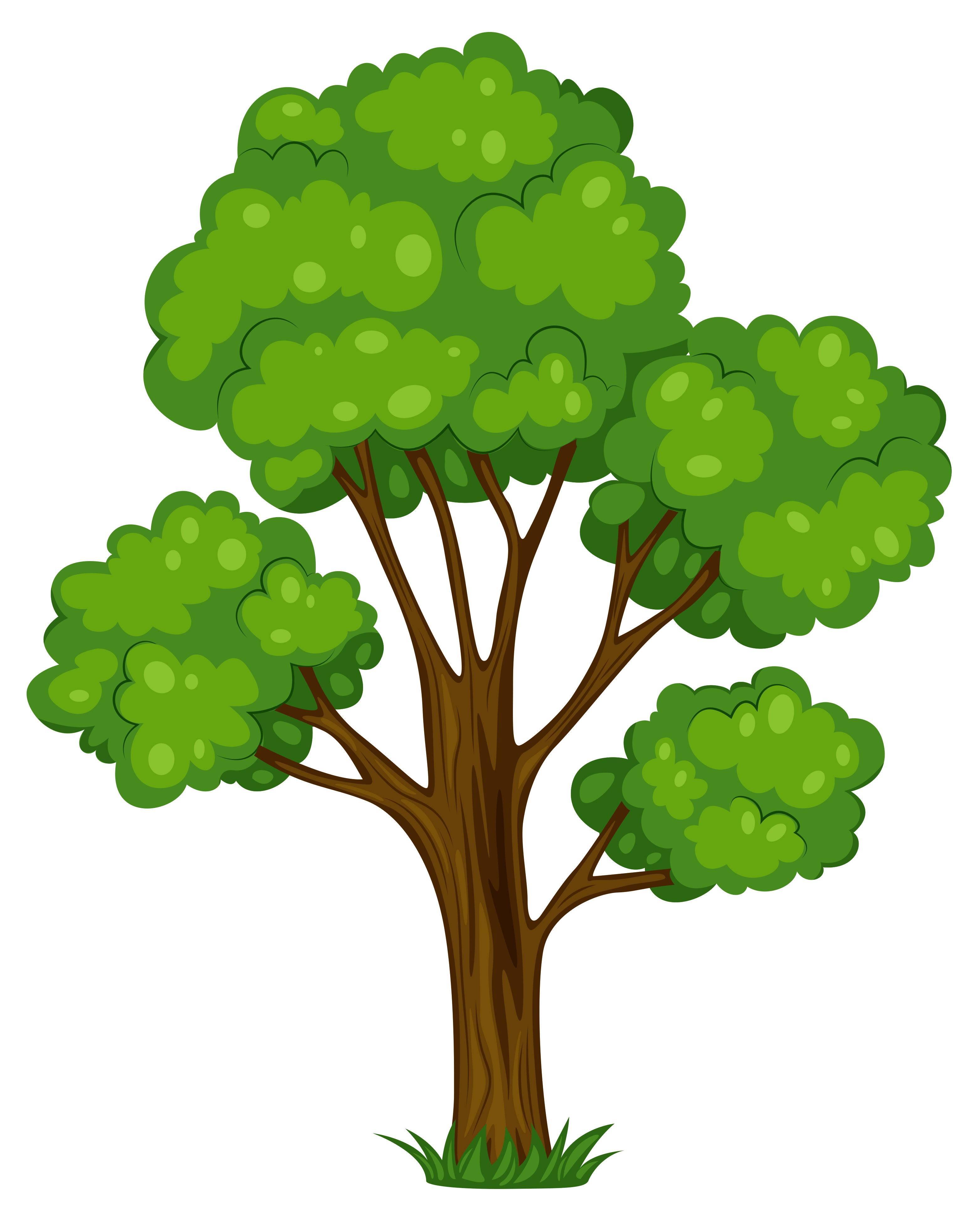 Picture Shrub Painted Tree Green Cartoon Clipart