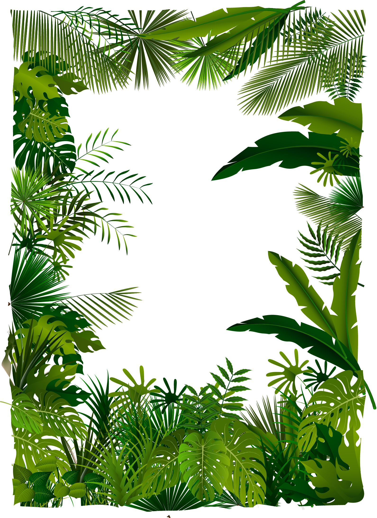 Trees Tree Illustration Tropical Euclidean Vector Forest Clipart