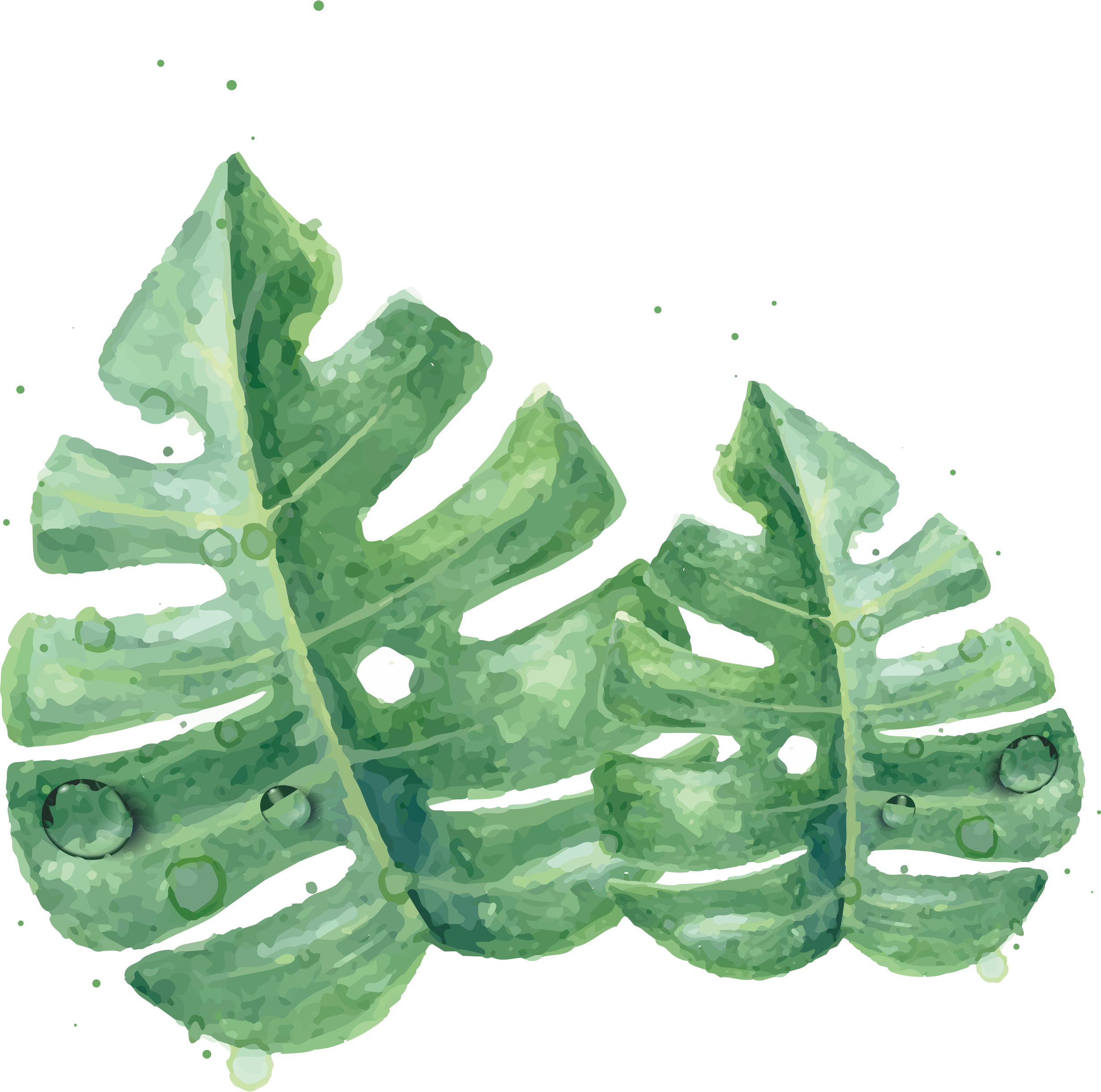 Leaf Leaves Watercolor Green Skin Painting Clipart