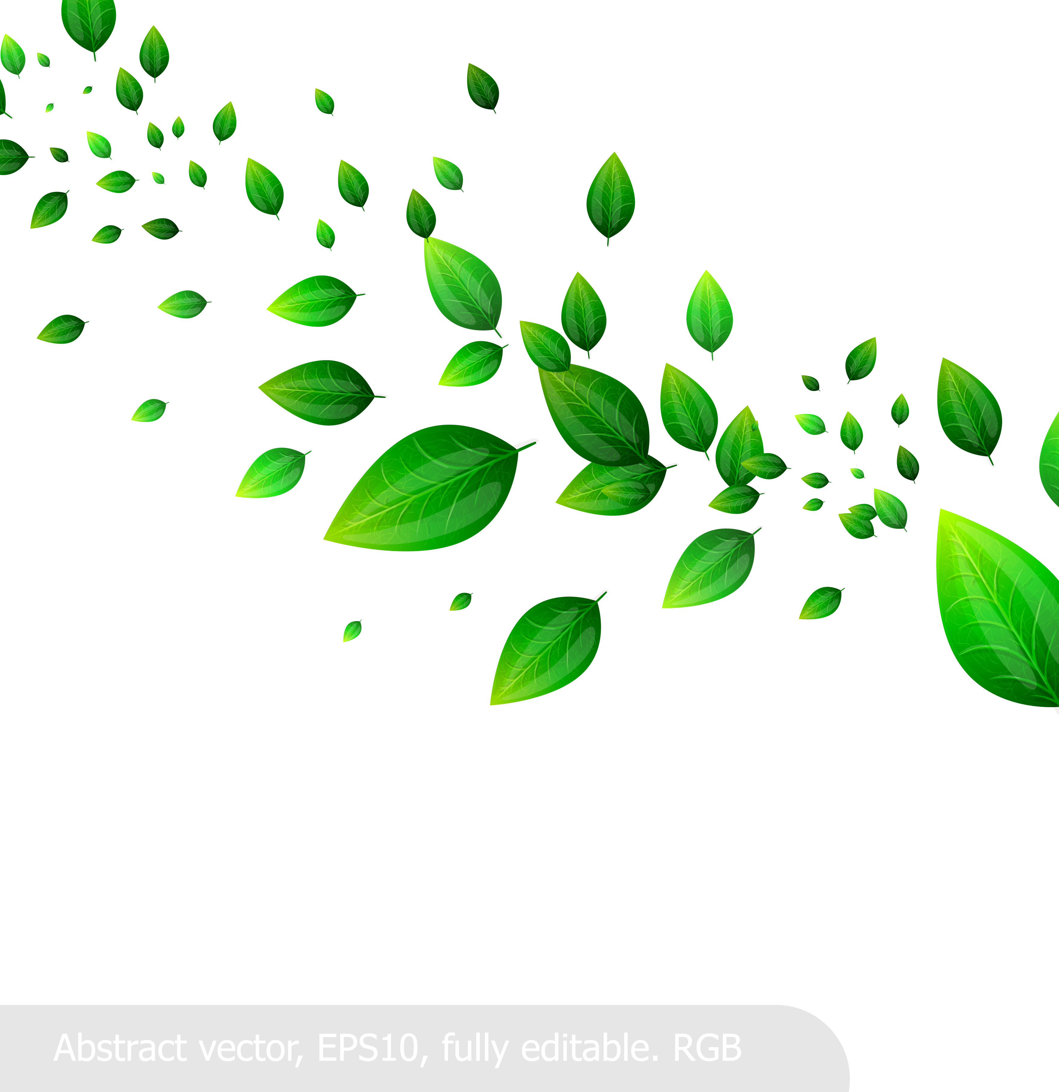 Download Leaf Leaves Material When Vector Green Fresh Clipart PNG Free
