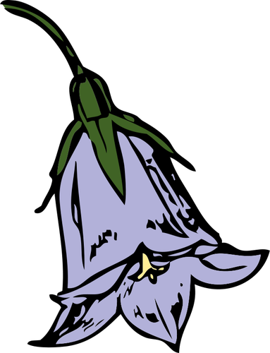Of Harebell Flower Clipart
