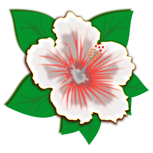 Flower In Red And White Clipart