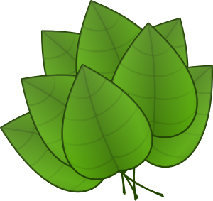 Leaves At Clker Vector Clipart Clipart