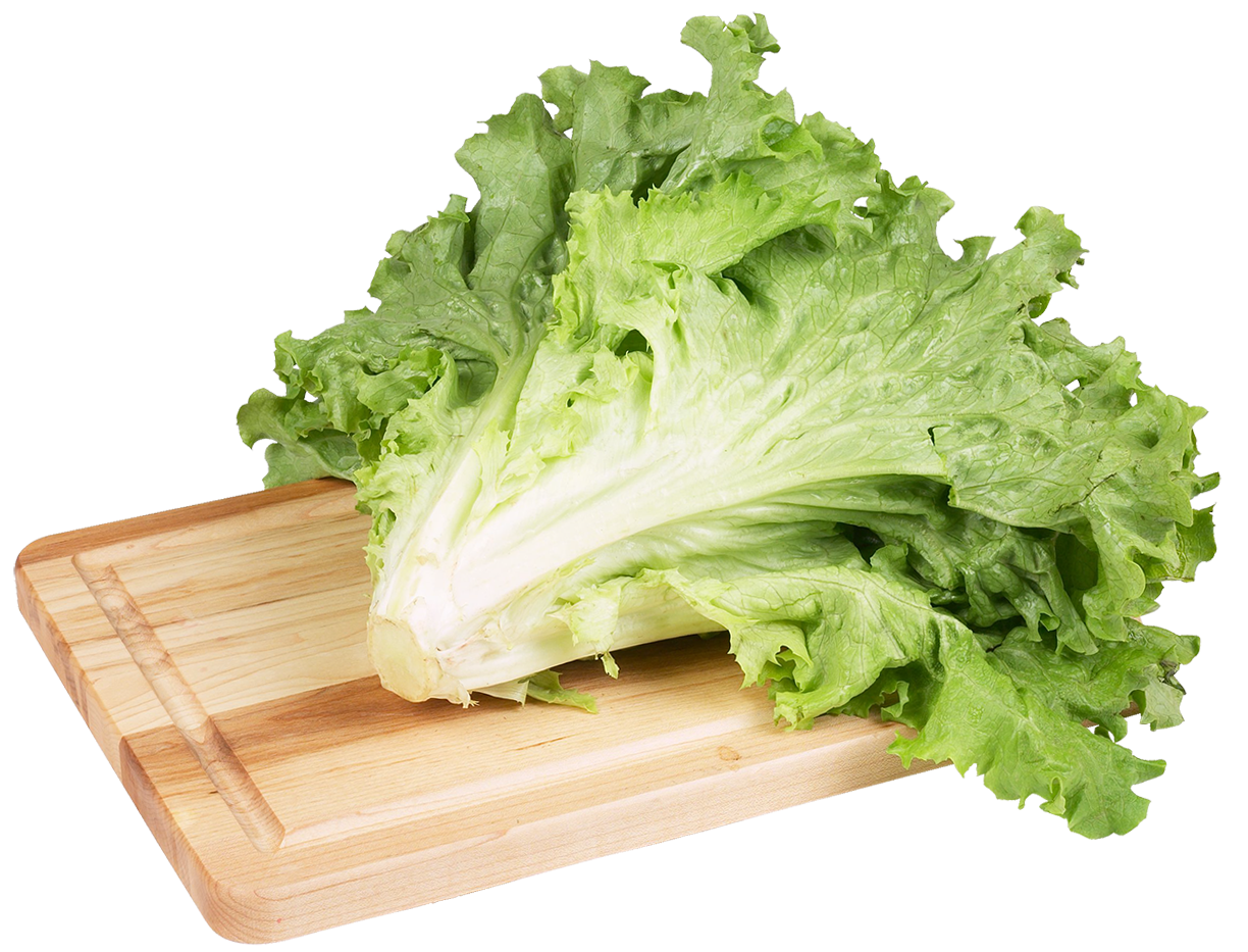 Green Salad Lettuce Image Hd Image Clipart