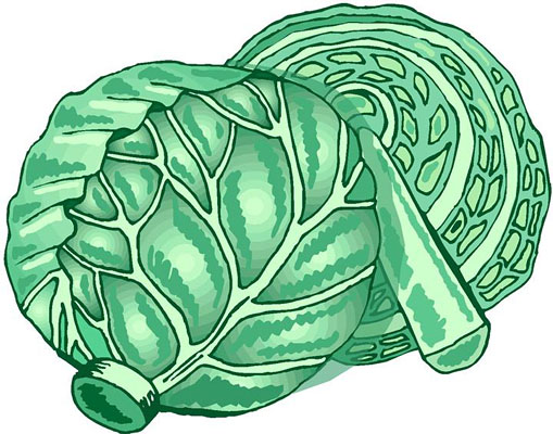 Lettuce Transparent Image Clipart