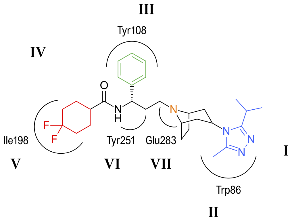 Management Of Receptor Ccr5 Fostemsavir Squibb Bristol-Myers Clipart