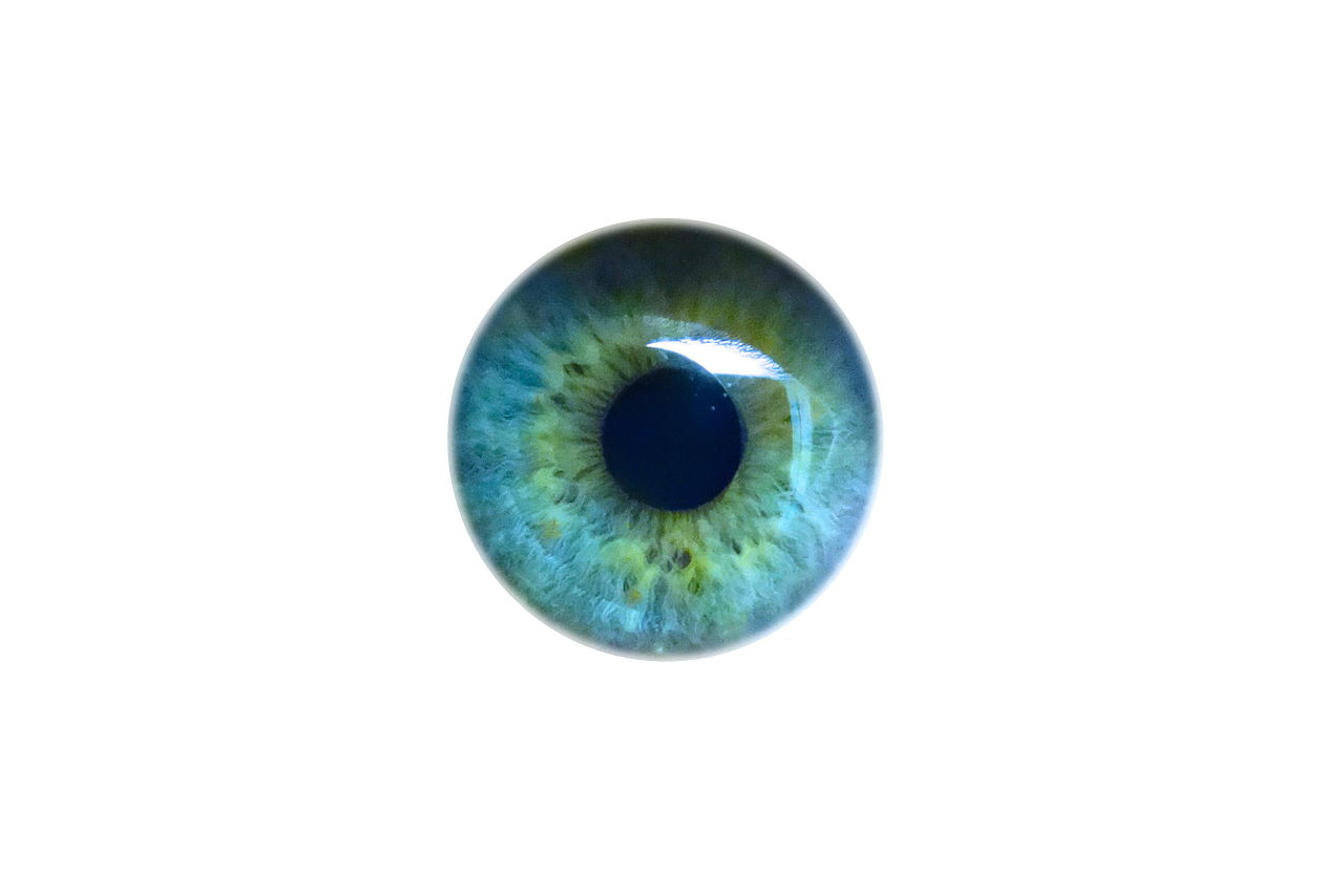 Iris Eyes Eye Light Pupil Human Clipart
