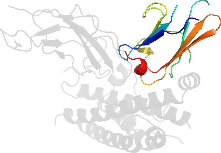 Hormone Corticotropinreleasing Illustration Graphic Design Receptor Line Clipart