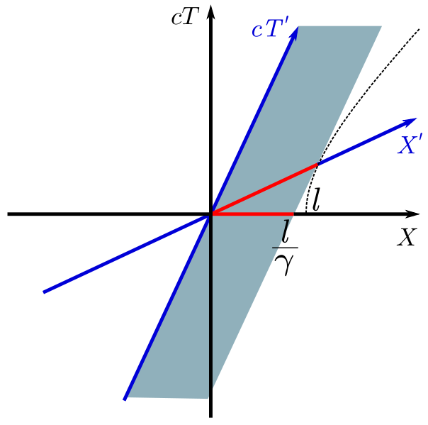 Theory Of Relativity Length Lorentz Muscle Transformation Clipart