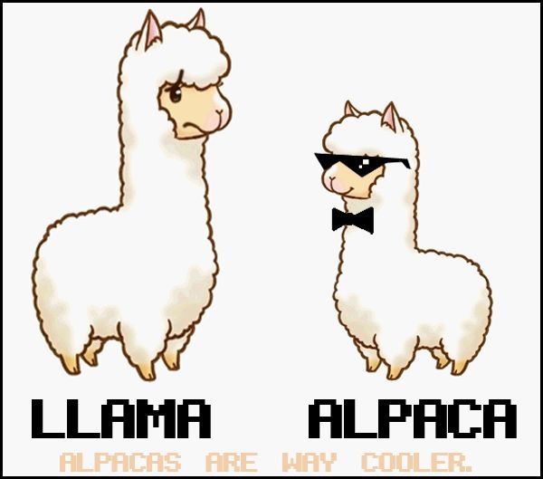 Llama Alpaca Cartoon Free Download Png Clipart
