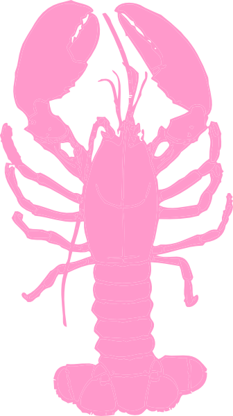 Pink Lobster At Clker Vector Clipart Clipart