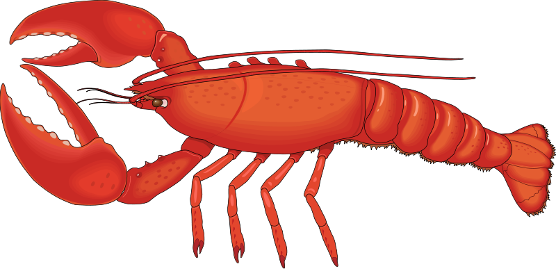 Lobster Food Images Food Org Free Download Png Clipart
