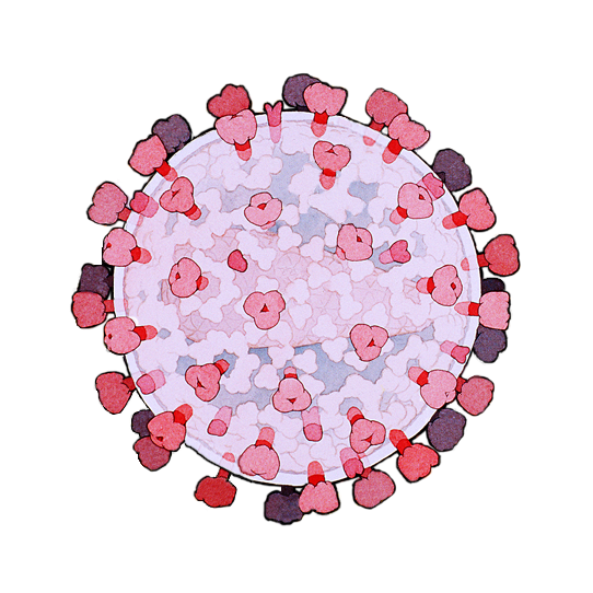 Hiv Prophylaxis Bowl Lii Disease Pre-Exposure Aids Clipart