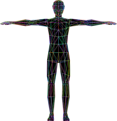 Colorful Human Anatomy Clipart