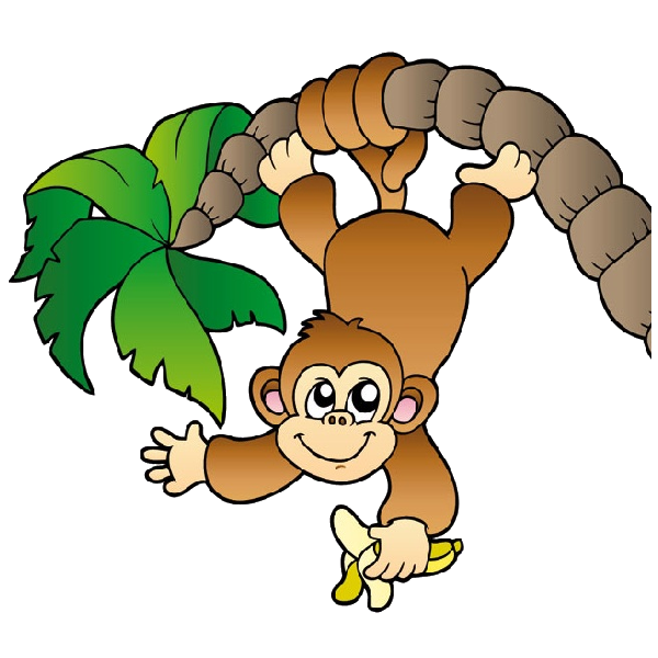 Baby Monkey Face Images Hd Photos Clipart