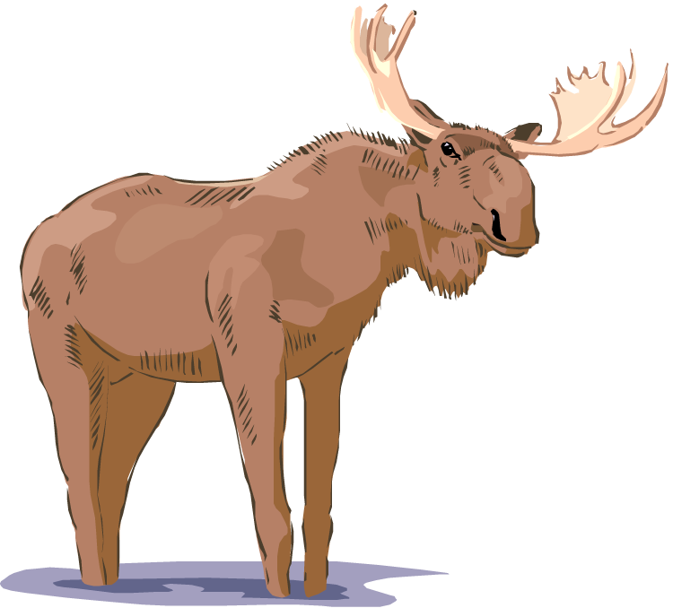 Free Moose Download Png Clipart