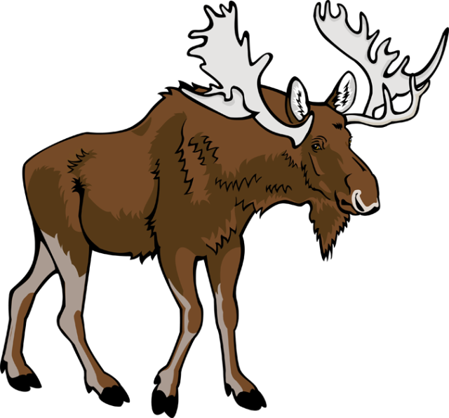 Moose Vector Moose 6 Graphics Image Clipart