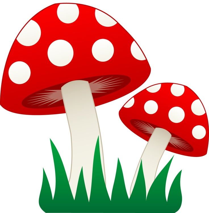 Mushroom Biezumd Image Png Clipart