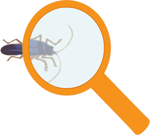 Magnifying Glass And Bug Clipart