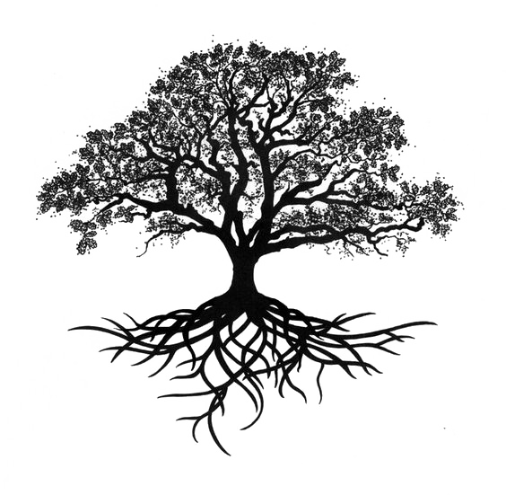 Oak Silhouette Tree Drawing Trees Free Download PNG HQ Clipart