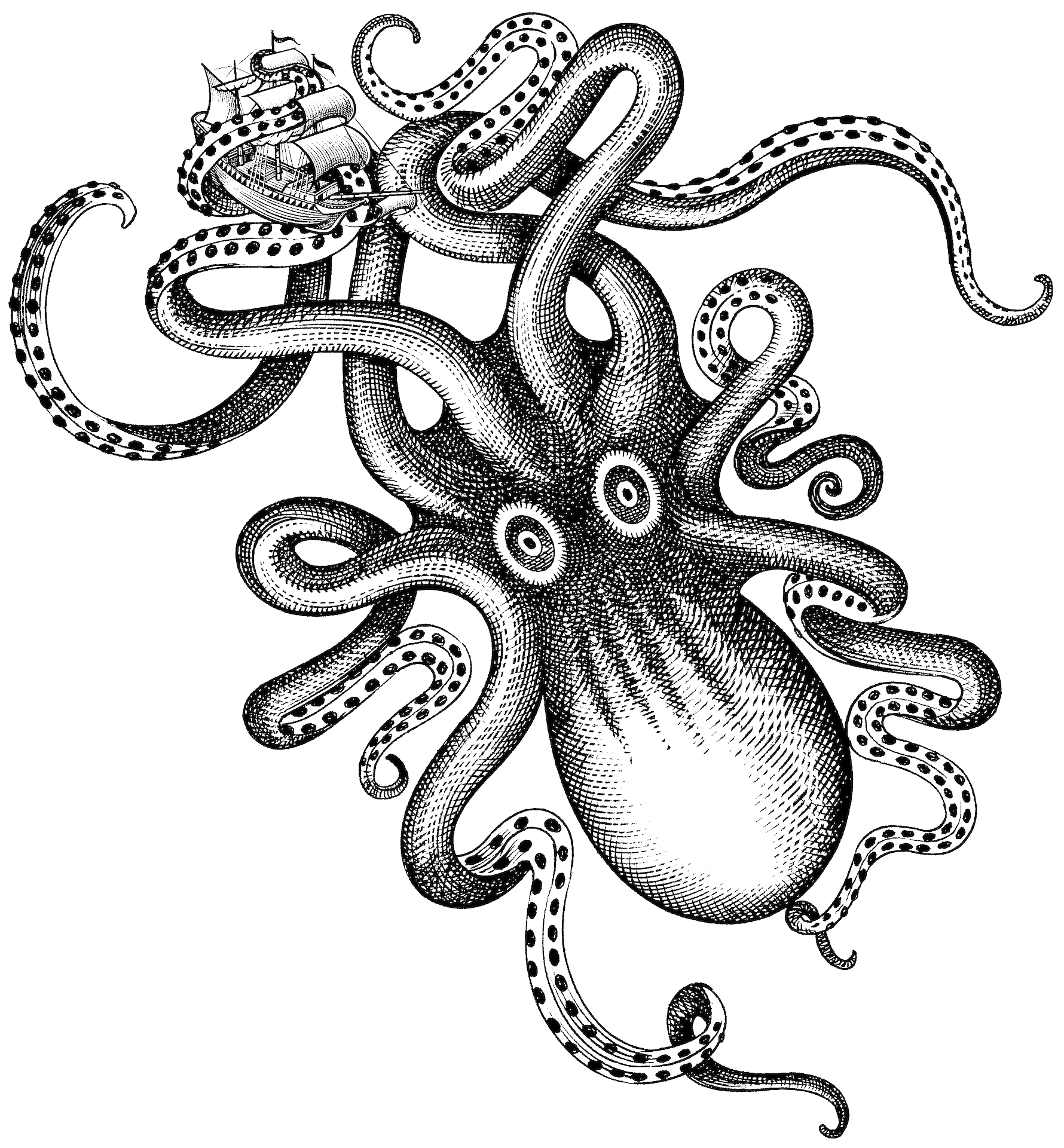 Watercolor Octopus Liquor Kraken Rum Free Download PNG HQ Clipart