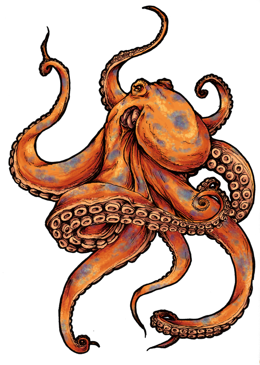 Tattoo Black-And-Gray Sleeve Picture Octopus Drawing Clipart