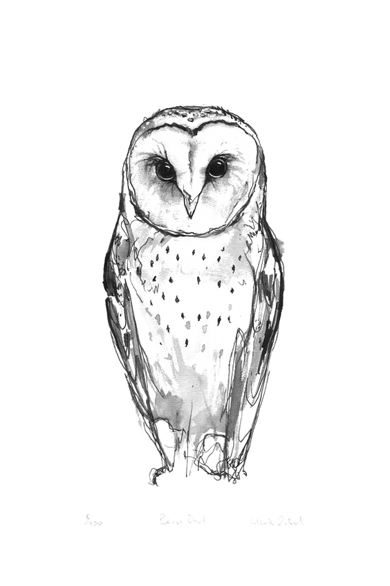Idea Owl Drawing Tattoo Barn Download Free Image Clipart