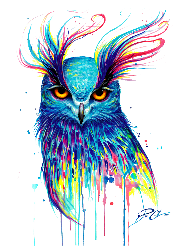 T-Shirt Owl Painting Bird Drawing Free Download Image Clipart
