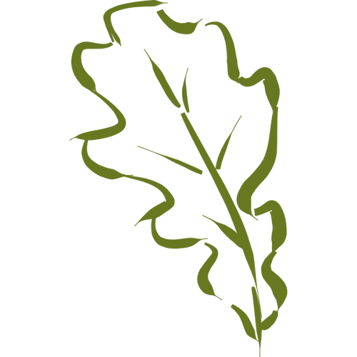 Hand-Drawn Oak Leaf Clipart